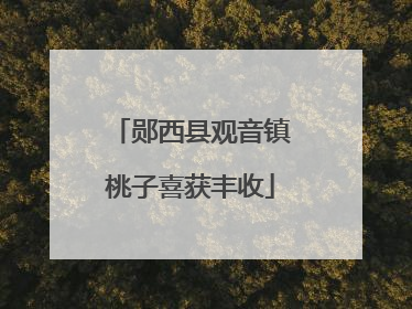 郧西县观音镇桃子喜获丰收