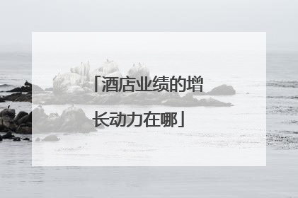 酒店业绩的增长动力在哪