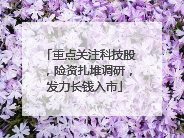 重点关注科技股，险资扎堆调研，发力长钱入市