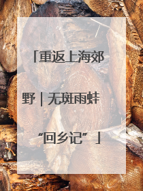 重返上海郊野｜无斑雨蛙“回乡记”