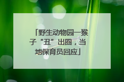 野生动物园一猴子“丑”出圈，当地保育员回应