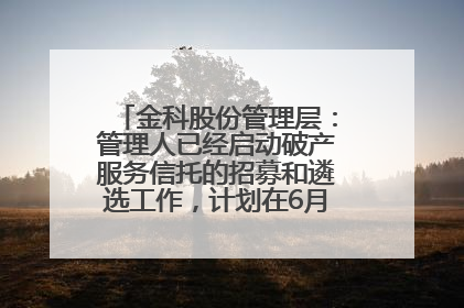 金科股份管理层：管理人已经启动破产服务信托的招募和遴选工作，计划在6月初召开评审会