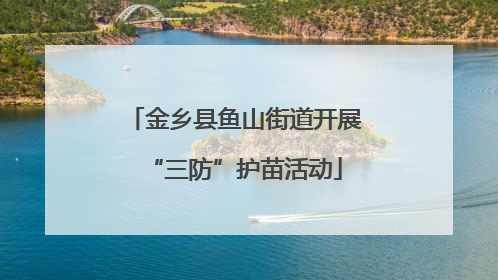 金乡县鱼山街道开展“三防”护苗活动