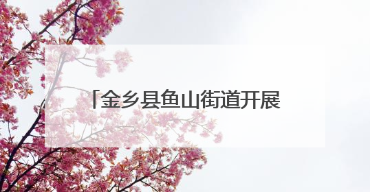 金乡县鱼山街道开展医保政策宣传活动