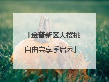 金普新区大樱桃自由尝享季启幕