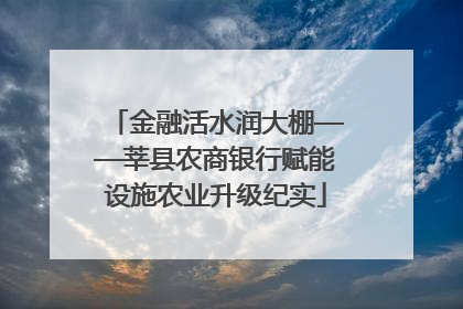 金融活水润大棚——莘县农商银行赋能设施农业升级纪实