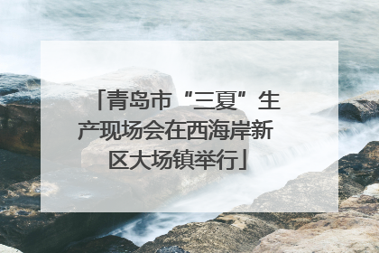 青岛市“三夏”生产现场会在西海岸新区大场镇举行