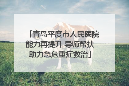 青岛平度市人民医院能力再提升 导师帮扶助力急危重症救治