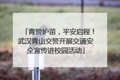 青警护苗，平安启程！武汉青山交警开展交通安全宣传进校园活动