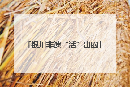 银川非遗“活”出圈