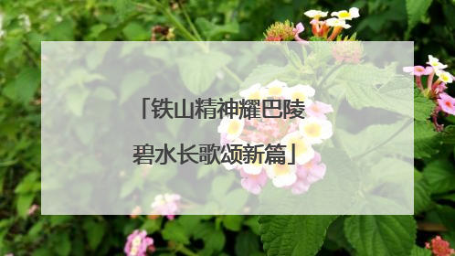 铁山精神耀巴陵 碧水长歌颂新篇