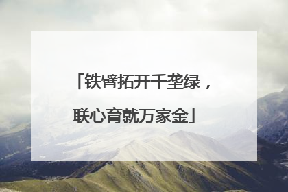 铁臂拓开千垄绿，联心育就万家金