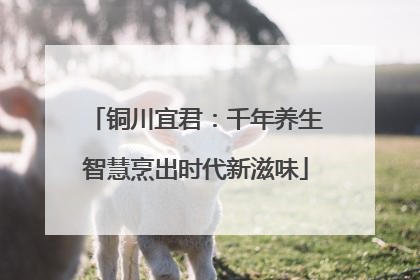 铜川宜君：千年养生智慧烹出时代新滋味