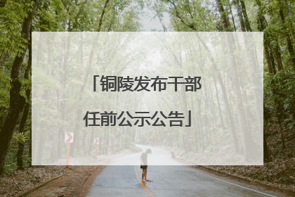 铜陵发布干部任前公示公告