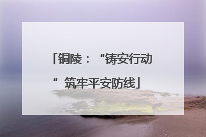 铜陵：“铸安行动”筑牢平安防线