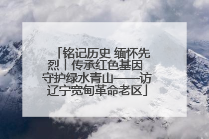 铭记历史 缅怀先烈丨传承红色基因 守护绿水青山——访辽宁宽甸革命老区