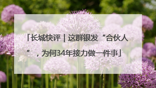 长城快评｜这群银发“合伙人”，为何34年接力做一件事