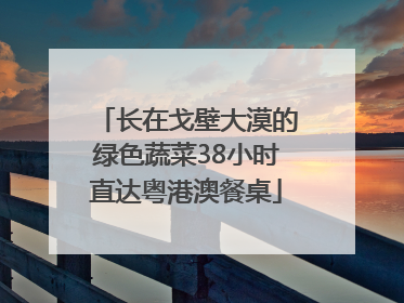 长在戈壁大漠的绿色蔬菜38小时直达粤港澳餐桌