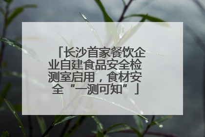 长沙首家餐饮企业自建食品安全检测室启用，食材安全“一测可知”