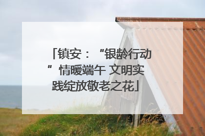 镇安：“银龄行动”情暖端午 文明实践绽放敬老之花