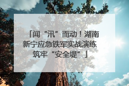 闻“汛”而动！湖南新宁应急铁军实战演练筑牢“安全堤”