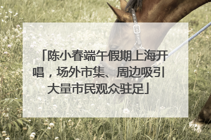 陈小春端午假期上海开唱，场外市集、周边吸引大量市民观众驻足