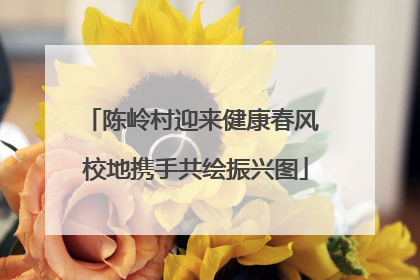 陈岭村迎来健康春风 校地携手共绘振兴图