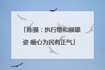 陈强：执行维和展雄姿 暖心为民有正气