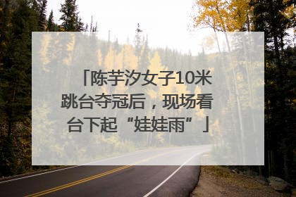 陈芋汐女子10米跳台夺冠后，现场看台下起“娃娃雨”