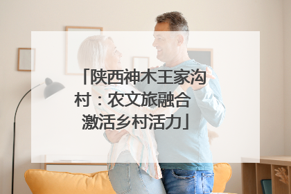 陕西神木王家沟村：农文旅融合 激活乡村活力