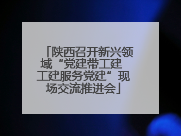 陕西召开新兴领域“党建带工建 工建服务党建”现场交流推进会