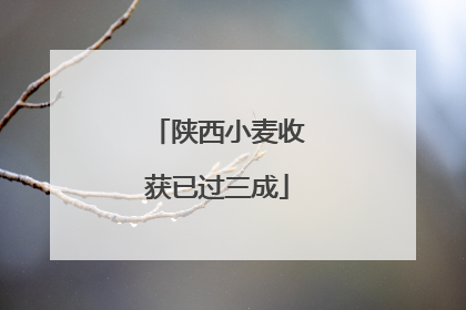 陕西小麦收获已过三成
