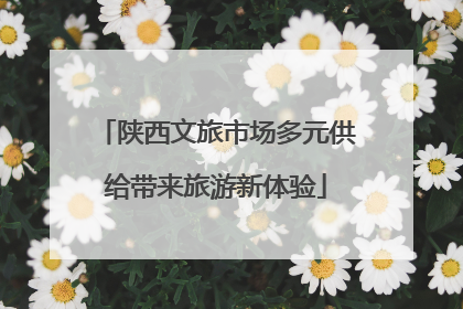陕西文旅市场多元供给带来旅游新体验