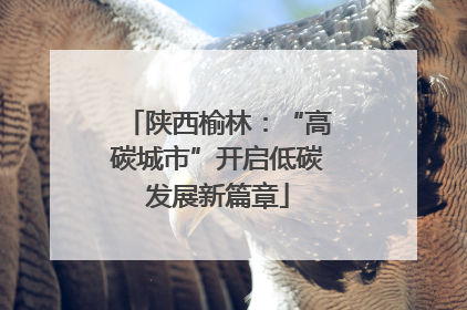 陕西榆林：“高碳城市”开启低碳发展新篇章