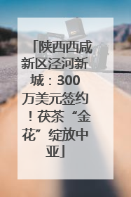 陕西西咸新区泾河新城：300万美元签约！茯茶“金花”绽放中亚