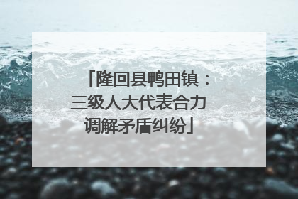 隆回县鸭田镇：三级人大代表合力调解矛盾纠纷