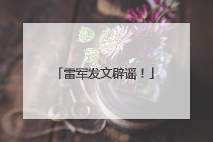 雷军发文辟谣！