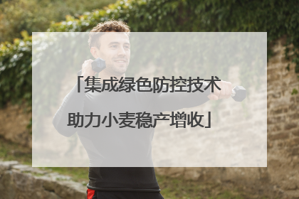 集成绿色防控技术助力小麦稳产增收