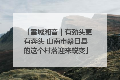 雪域湘音｜有劲头更有奔头 山南市桑日县的这个村落迎来蜕变