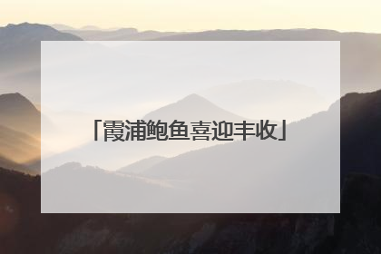 霞浦鲍鱼喜迎丰收
