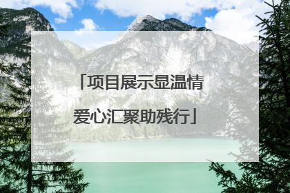 项目展示显温情 爱心汇聚助残行