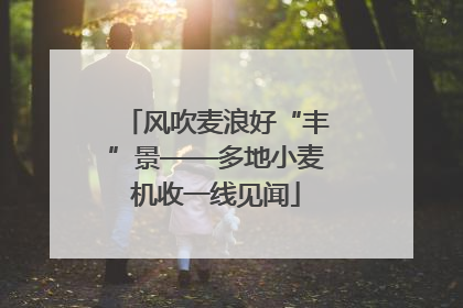 风吹麦浪好“丰”景——多地小麦机收一线见闻