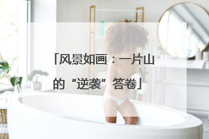 风景如画：一片山的“逆袭”答卷