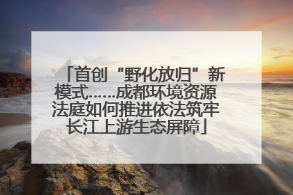 首创“野化放归”新模式……成都环境资源法庭如何推进依法筑牢长江上游生态屏障