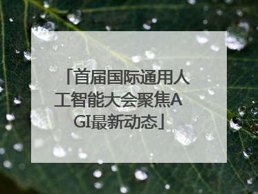 首届国际通用人工智能大会聚焦AGI最新动态