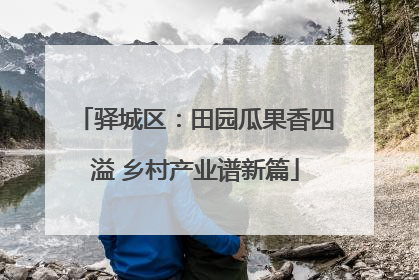 驿城区：田园瓜果香四溢 乡村产业谱新篇