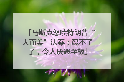 马斯克怒喷特朗普“大而美”法案：忍不了了，令人厌恶至极
