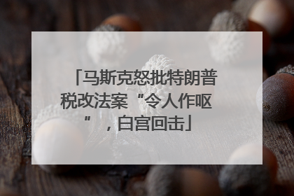 马斯克怒批特朗普税改法案“令人作呕”，白宫回击