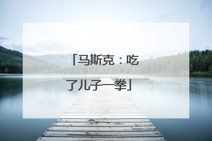 马斯克：吃了儿子一拳