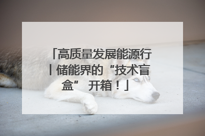高质量发展能源行丨储能界的“技术盲盒” 开箱！